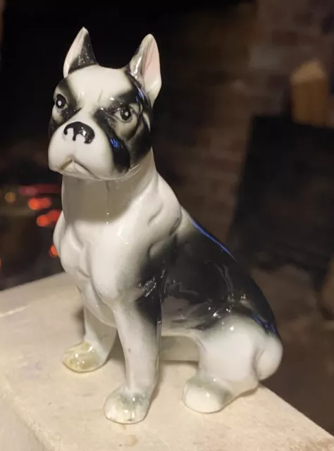 Boston Boxer Bull Dog Puppy Antique Vintage Ceramic Pottery Porcelain Bone China