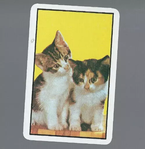 Vintage Swap Playing  Card      Kittens