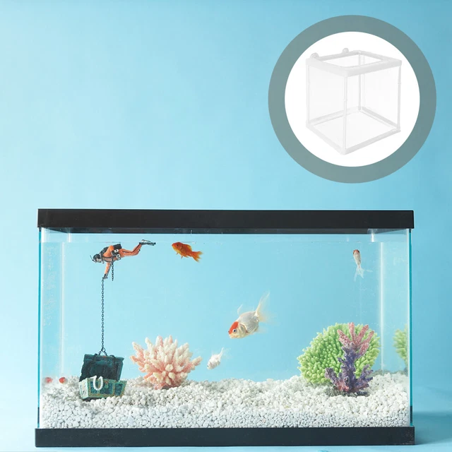 Boîte D'élevage Pour Aquarium - Filet De Séparation Pour Alevins - Avec Ventouses - Tailles S Et L - Écloserie Et Nurserie Poissons