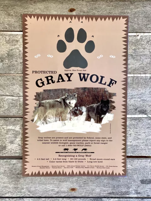 Collectable Protected Gray Wolf Poster -11 X 17 Poster mid 90's