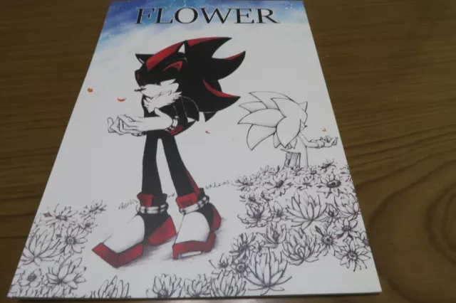 Sonic the Hedgehog Doujinshi Shadow x Sonic (A5 20pages) Kakudaikyo Haluki  ibara