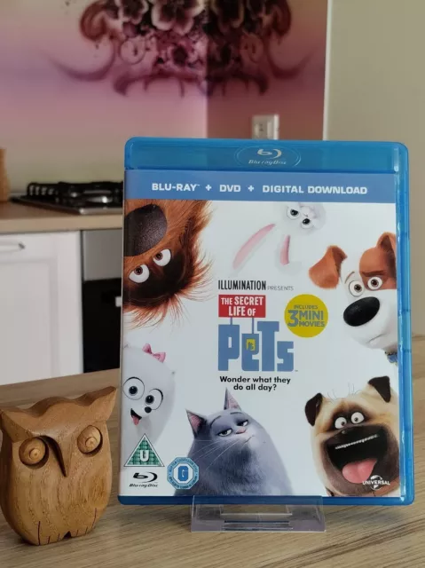 Blu-Ray  " The Secret Life of Pets - Vita da Animali " Eng, Ita, Esp, Fra +