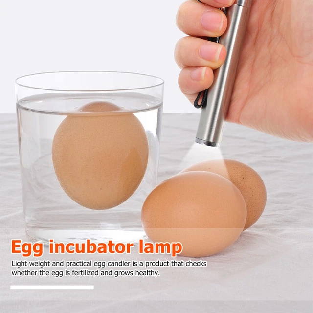 2Pcs Candler Led de Mirage Poulet Oeuf Lumière Oeuf Candlers Lumière 2