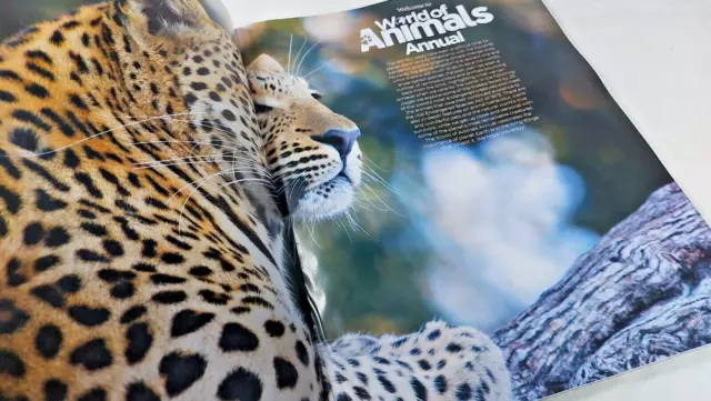 World Of Animals Annual (Magazine) - NEW - 50% Cover Price - 2023 3