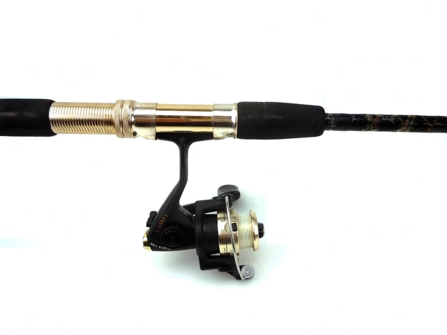 Zebco Graphite Composite Fishing Pole Rod And Pinnacle ABP20 Reel Combo