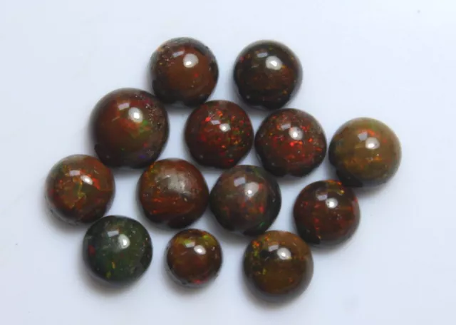 11 pièces véritable opale de feu noire Cabochon 4-7mm ronde opale polonaise...