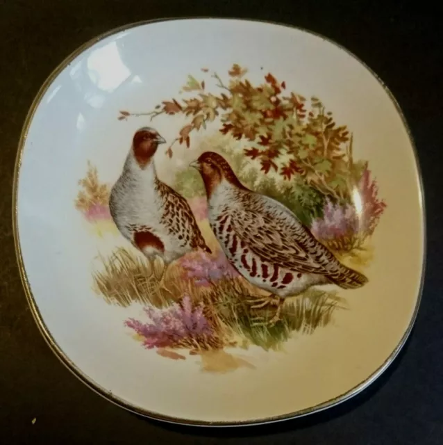 FALCON WARE PIN DISH by Weatherby Hanley - GROUSE - Durability - LOOK!