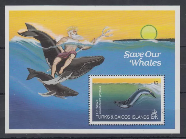 Turks & Caicos Mi.-N.o Bloque 44 sin usar ** / Estampillada sin montar o nunca montada Save our Whales