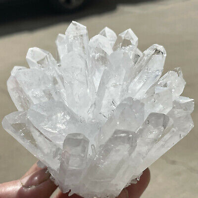 481g New Find White Clear Quartz Crystal Cluster Mineral Specimen Healing