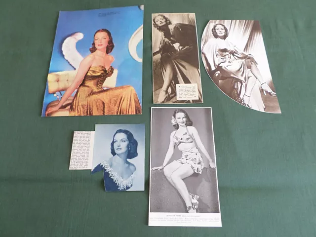 Dorothy Hart  - Actress /Film Star   -  Clippings /Cuttings Pack