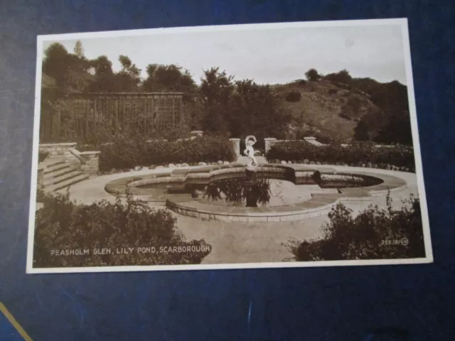 Postcard of Scarborough, Peasholm Glen, Lily Pond 203181 (Valentine's Unposted)