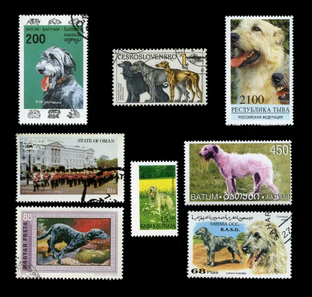 IRISH WOLFOUND WOLF HOUND DOG INTERNATIONAL POSTAGE STAMPS collection x 8