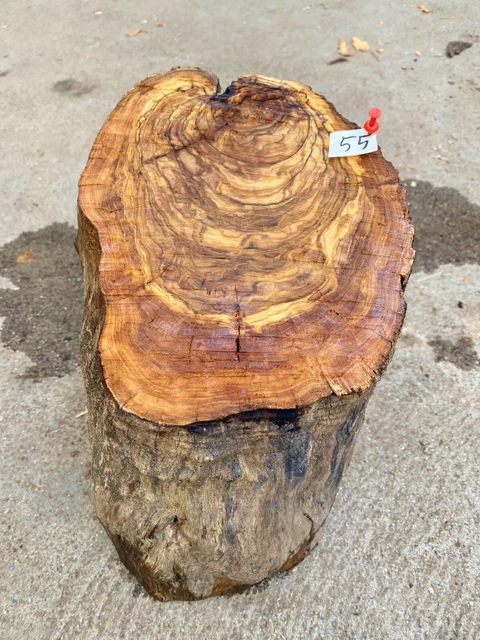 Olivenholz, Olive, Holz zum Basteln, Schnitzen, Drechseln, 7 kg, 