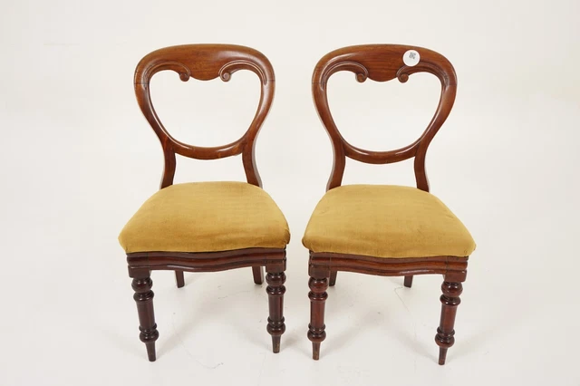 Antique Walnut Chairs, Pair of Victorian Dining Chairs, Scotland 1880, H1132
