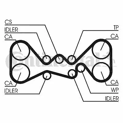 CONTINENTAL KIT DE DISTRIBUTION + POMPE à EAU POUR CITROËN SAXO 1.1 X,SX,AX 10
