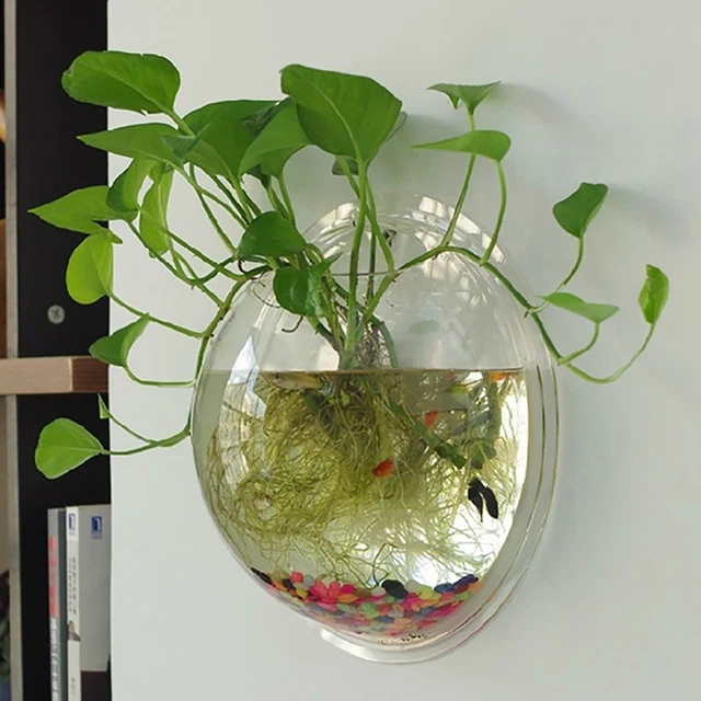 Fish Tank Durable Wall Mounted Modern Round Hanging Fish Bowl Acrylic