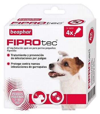 Pipetas antiparasitarias Beaphar Fiprotec Spot On Perros Pequeños (2-10 kg) - 4
