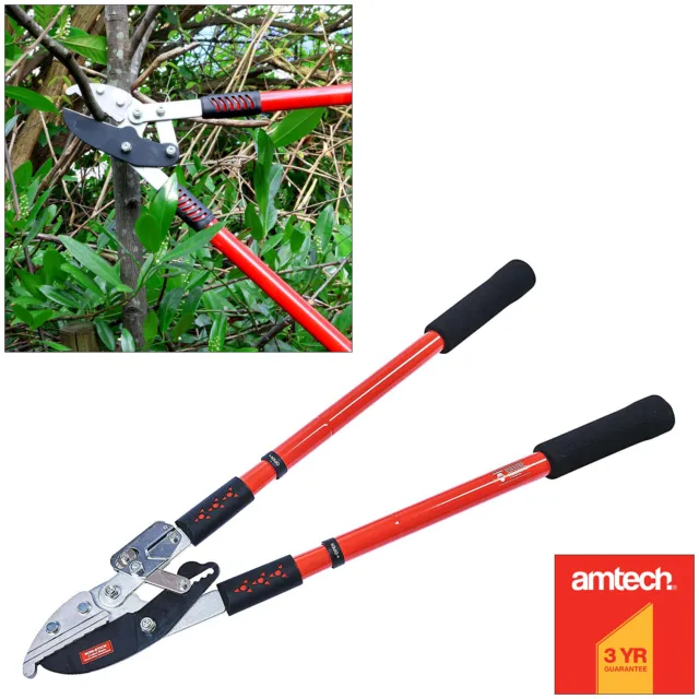Podadora telescópica de trinquete yunque cortadora de árbol rama jardín Amtech 3 años de garantía