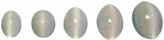 Natural Extra Fine White Cat's Eye Moonstone - Oval Cabochon - Madagascar - AAA+