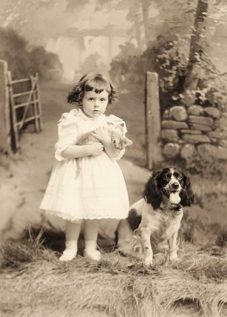 Victorian Era... Young Girl Holding Cat w/ Dog Sitting c.1900s Photo Reprint 5x7