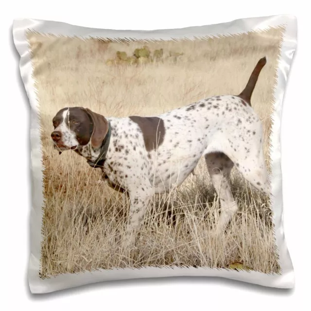 3dRose German Shorthair Pointer 16x16 inch Pillow Case