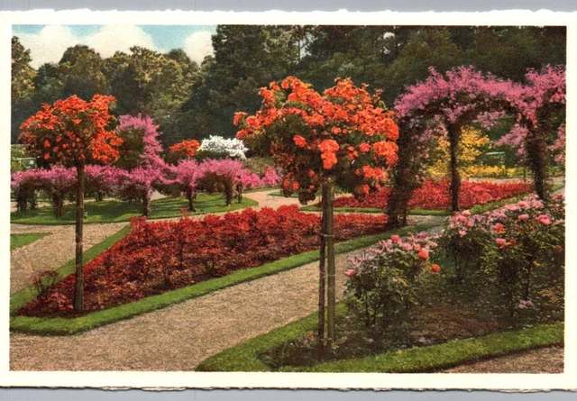 Biltmore Estate Postcard Walled Garden in June House & Gardens Asheville NC
