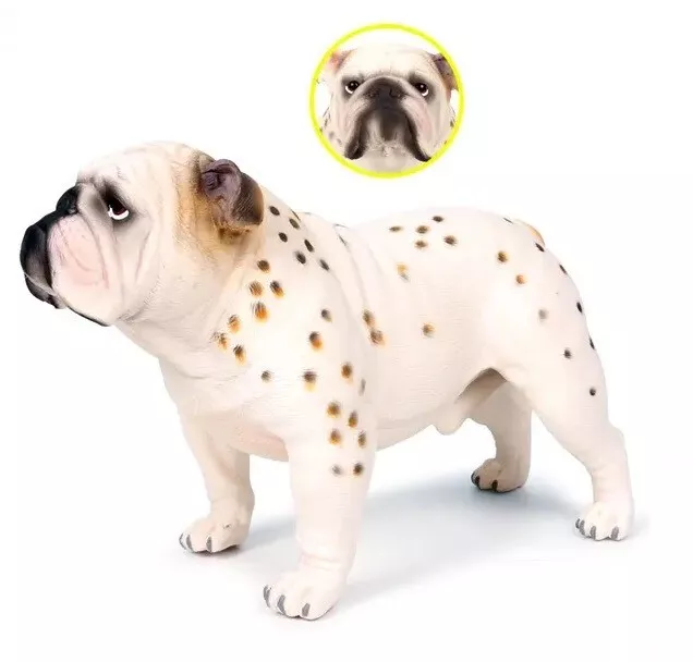 Bulldog Dog Animal Toy 5 Inch PVC Action Figure Kids Toys Party Gifts