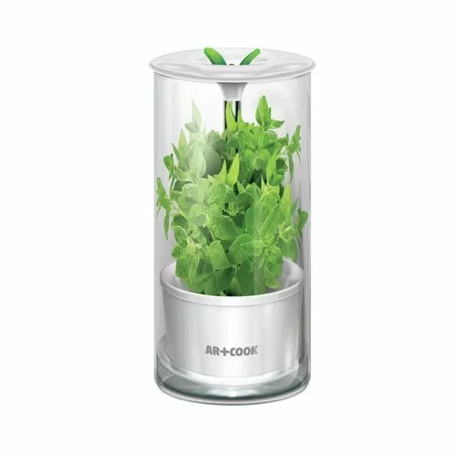 https://www.picclickimg.com/w2AAAOSwDvBhykix/Art-and-Cook-Anti-Bacterial-Glass-Herb-Keeper-Food.webp