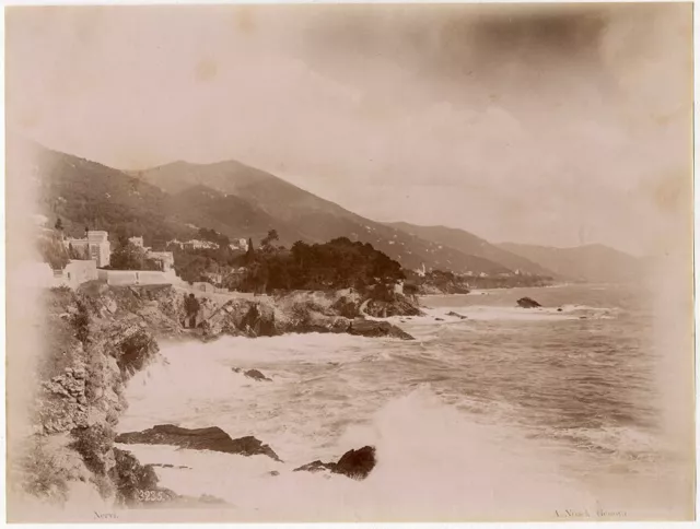 Photo Alfred Noack Albumen Nervi Italy to The