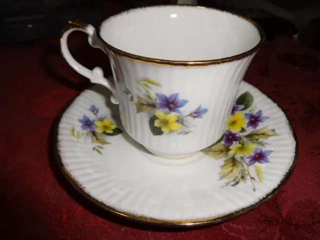 Queens Rosina Fine Bone China Tea Cup Saucer Centenary Dear flowers