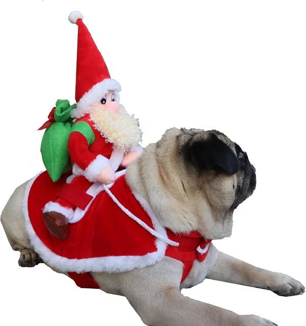 Costumi Divertenti per Cani E Gatti, Costumi per Animali Domestici, Costumi Dive