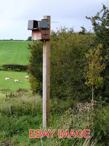 Photo  Cotehill Nest Box For Barn Owl In A Field Behind Some Fairly Recent Barn