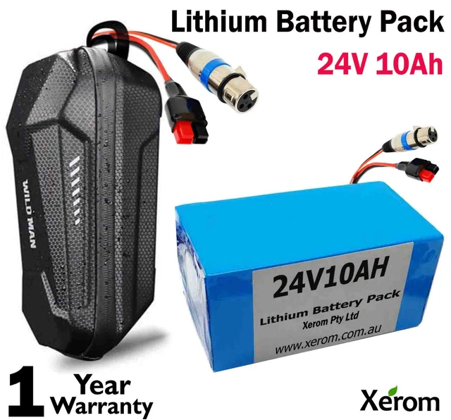 e bike lithium battery price