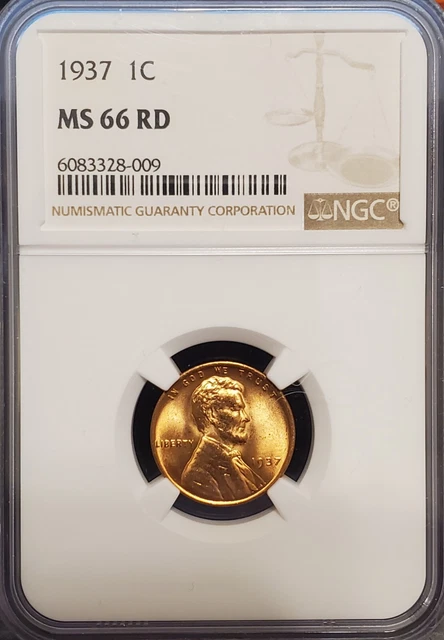 1937 P  Lincoln Head Cent  NGC  MS66RD  Blazing Red Coin
