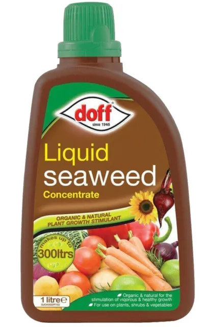 Doff Liquid Seaweed Concentrate Organic Plant Food Shrubs Vegetables Feed 1 Lit
