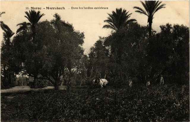 CPA AK Marrakech - Dans les Jardins Exterieurs MAROC (963592)
