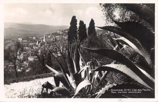 06-Grasse-N�425-E/0193