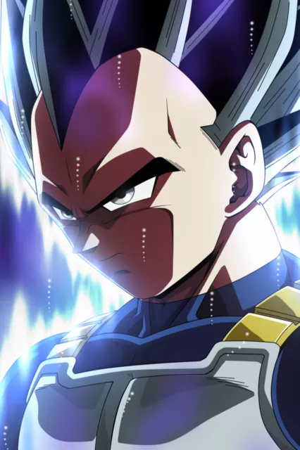 Dragon Ball Super/Z Poster Majin Vegeta 12in x 18in Free and Fast