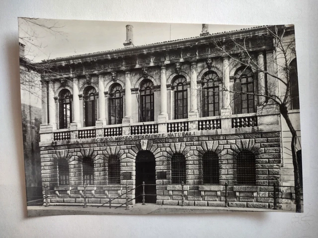 Museo storia naturale Verona - Palazzo Pompei (Sammicheli)