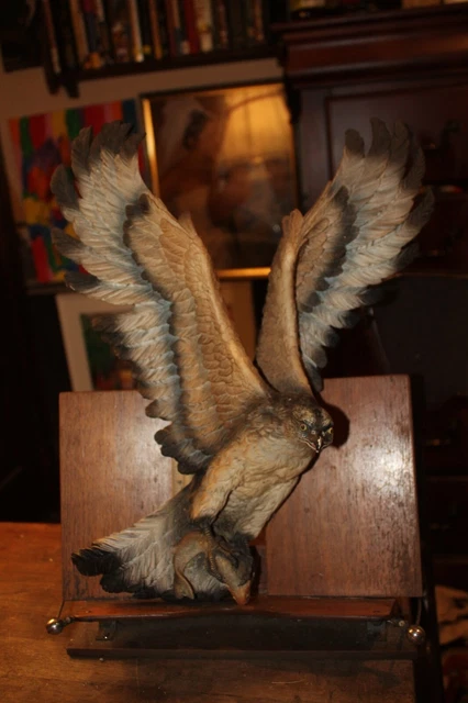 Vintage 1970 Fraser Art Wall Sculture Osprey Fish Hawk Bosson 18"