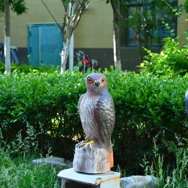 Realistic Wildlife Red Tailed Perching on Tree Stump Statue Birds of Prey