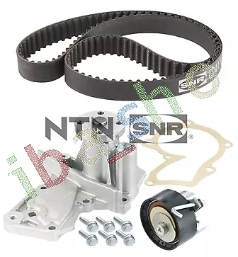 Timing Set Belt + Pulley + Water Pump Fits For Ford C-Max Ii Fiesta Vi Focus