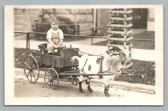 Cute Little Boy in Fancy Goat Toy Cart RPPC Antique Photo Postcard 1910s