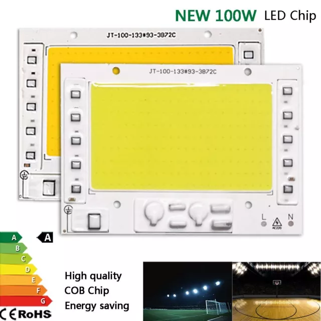 100W LED Chip COB high power white floodlight bulb integrated smart ic 220-240V