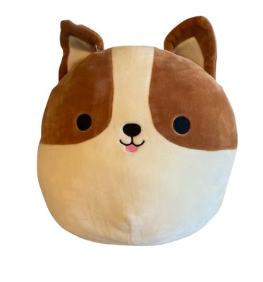 reginald squishmallow chihuahua