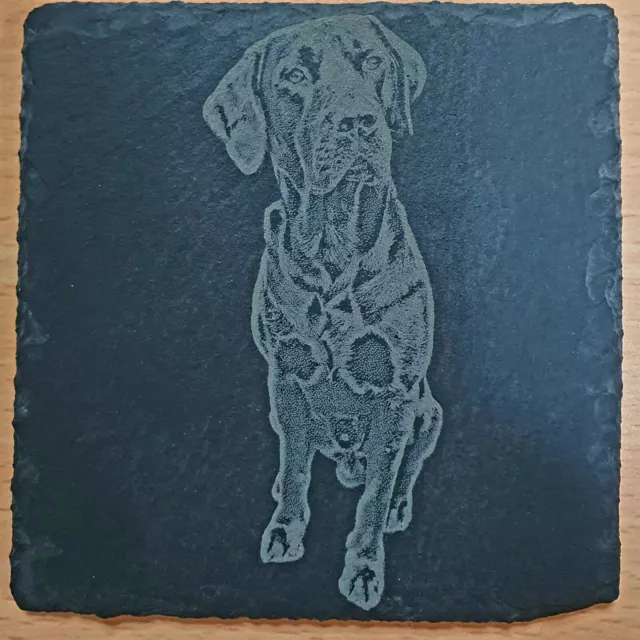 Your Pet, Laser Engraved, Dog Picture Slate Personalised Coasters, Cat, Labrador