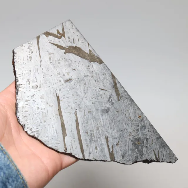149g  Muonionalusta meteorite part slice C7326