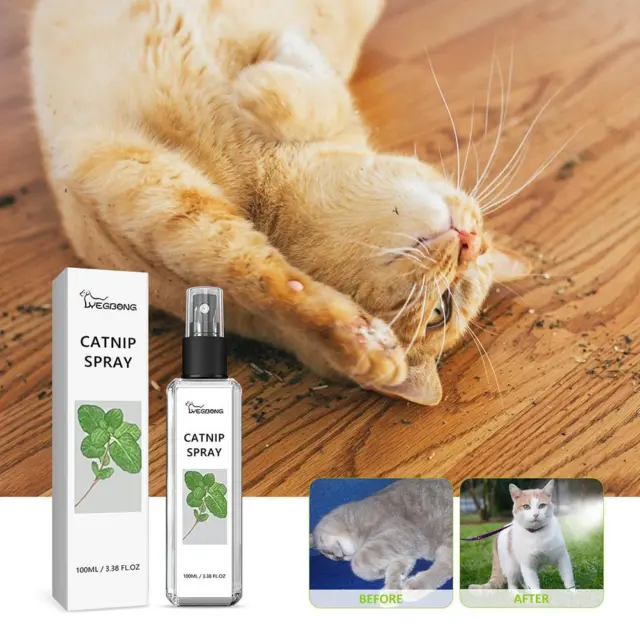 Aerosol de hierba gatera para gato, apio mascotas hierba gatera aerosol para gato