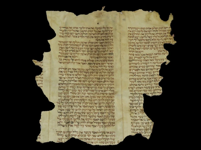 Extremely Rare Torah Bible Fragment 250-300 Years Old On Calf Parchment Jewish