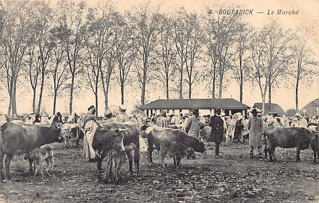 Sétif - CPA ALGERIE.SETIF.LE MARCHE ARABE